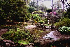photo 0028